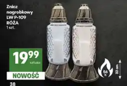 Delikatesy Centrum Znicz nagrobkowy LW P-109 RÓŻA oferta