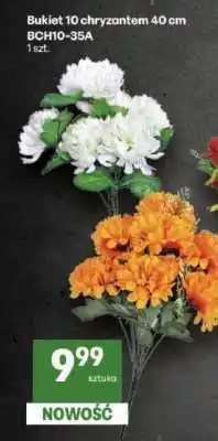 Delikatesy Centrum Bukiet 10 chryzantem 40 cm oferta