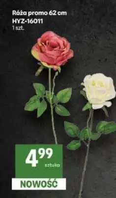 Delikatesy Centrum Róża promo 62 cm HYZ-16011 oferta
