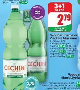 Dino Woda mineralna Cechini Muszyna oferta