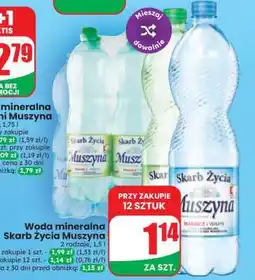 Dino Woda mineralna Skarb Życia Muszyna oferta