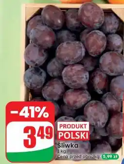 Dino Śliwka oferta