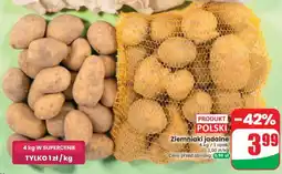 Dino Ziemniaki jadalne oferta