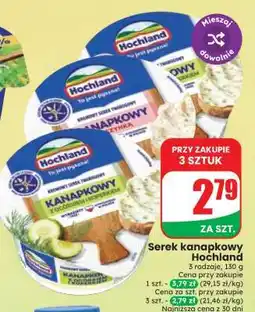 Dino Serek kanapkowy Hochland oferta