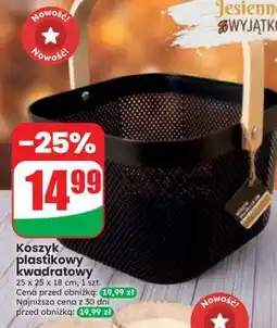 Dino Koszyk plastikowy kwadratowy oferta