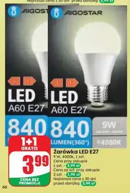 Dino Żarówka LED E27 oferta