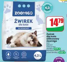 Dino Żwirek dla kota silikonowy Zoomigo oferta