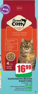 Dino Sucha karma dla kota Sweet Catty oferta