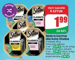 Dino Mokra karma dla kota Sheba oferta