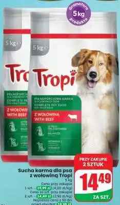 Dino Sucha karma dla psa z wołowiną Tropi oferta