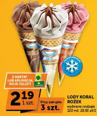 Lody Koral Rożek
