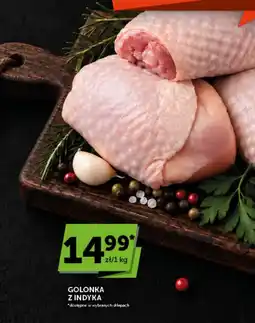 Groszek Golonka z Indyka oferta