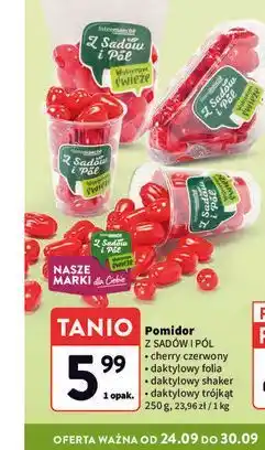 Intermarche Pomidor Z Sadów i Pól (cherry czerwony / daktylowy folia / daktylowy shaker / daktylowy trójkąt) oferta