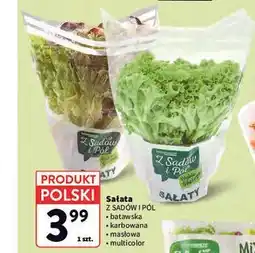 Intermarche Sałata Z Sadów i Pół oferta