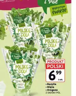 Intermarche Bazylia / Mięta / Oregano Z Sadów i Pół oferta