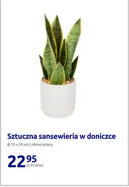 Action Sztuczna sansewieria w doniczce oferta
