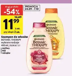 Intermarche Szampon do włosów BOTANIC THERAPY oferta