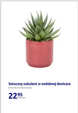Action Sztuczny sukulent w ozdobnej doniczce oferta