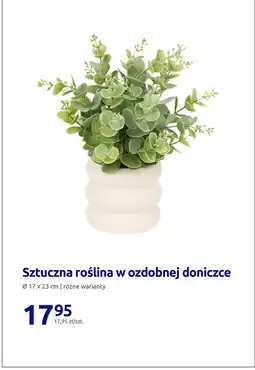 Action Sztuczna roślina w ozdobnej doniczce oferta