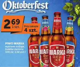 Groszek Piwo Warka oferta