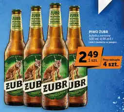 Groszek Piwo Żubr oferta