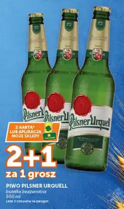 Groszek Piwo Pilsner Urquell oferta