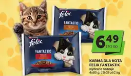 Groszek Karma dla kota Felix Fantastic oferta
