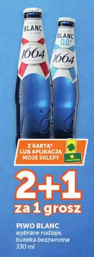Groszek Piwo Blanc oferta