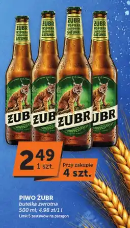 Groszek Piwo Żubr oferta