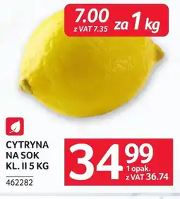 Selgros Cytryna oferta