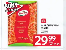 Selgros Marchewka Hortex oferta