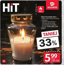 Selgros Znicz Selgros oferta