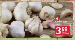 Selgros Czosnek oferta