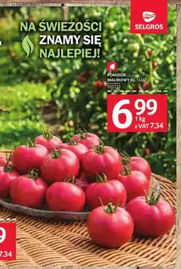 Selgros Pomidory malinowe oferta