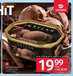 Selgros Lody Grycan oferta