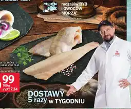 Selgros Sandacz filet ze skórą oferta