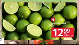 Selgros Limonki oferta