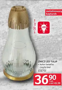 Selgros Znicz led oferta