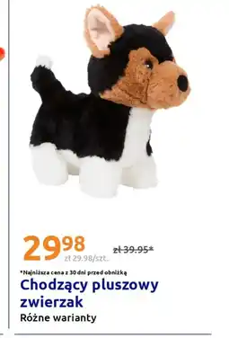 Action Pluszak oferta