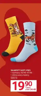 Selgros Skarpety kot i pies oferta