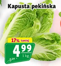 Prim Market Kapusta pekińska oferta