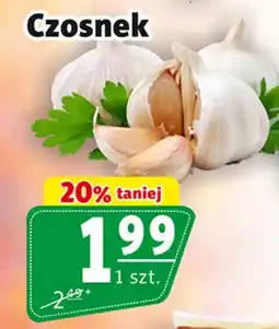 Prim Market Czosnek oferta