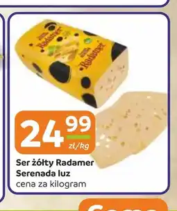 Gama Ser żółty Radamer Serenada oferta