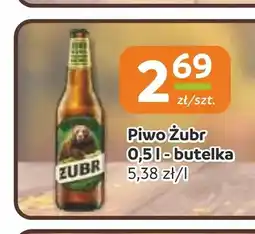 Gama Piwo Żubr oferta