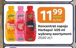 Gama Koncentrat napoju Herbapol oferta