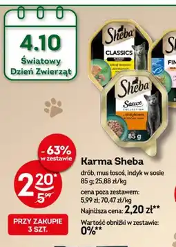 Żabka Karma Sheba mus łosoś oferta