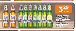 Gama Piwo Żywiec oferta
