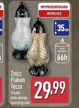 ALDI Znicz oferta