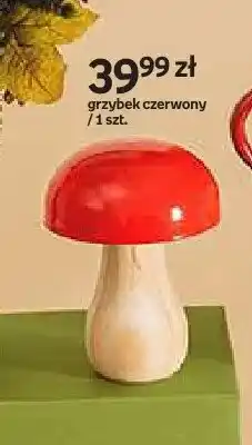 Empik Grzybek czerwony Hello Autumn oferta