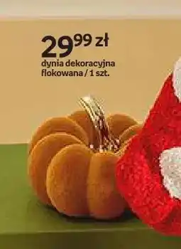 Empik Dynia dekoracyjna flokowana Hello Autumn oferta
